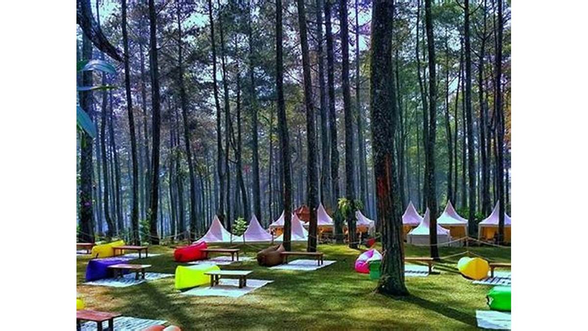 Camping in Urban Camp Cikole Indonesia